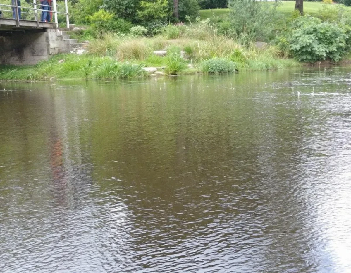 La Protection Juridique des Bassins Fluviaux : Enjeux et Cadres Normatifs